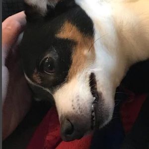 Meet your Posher, Kelli